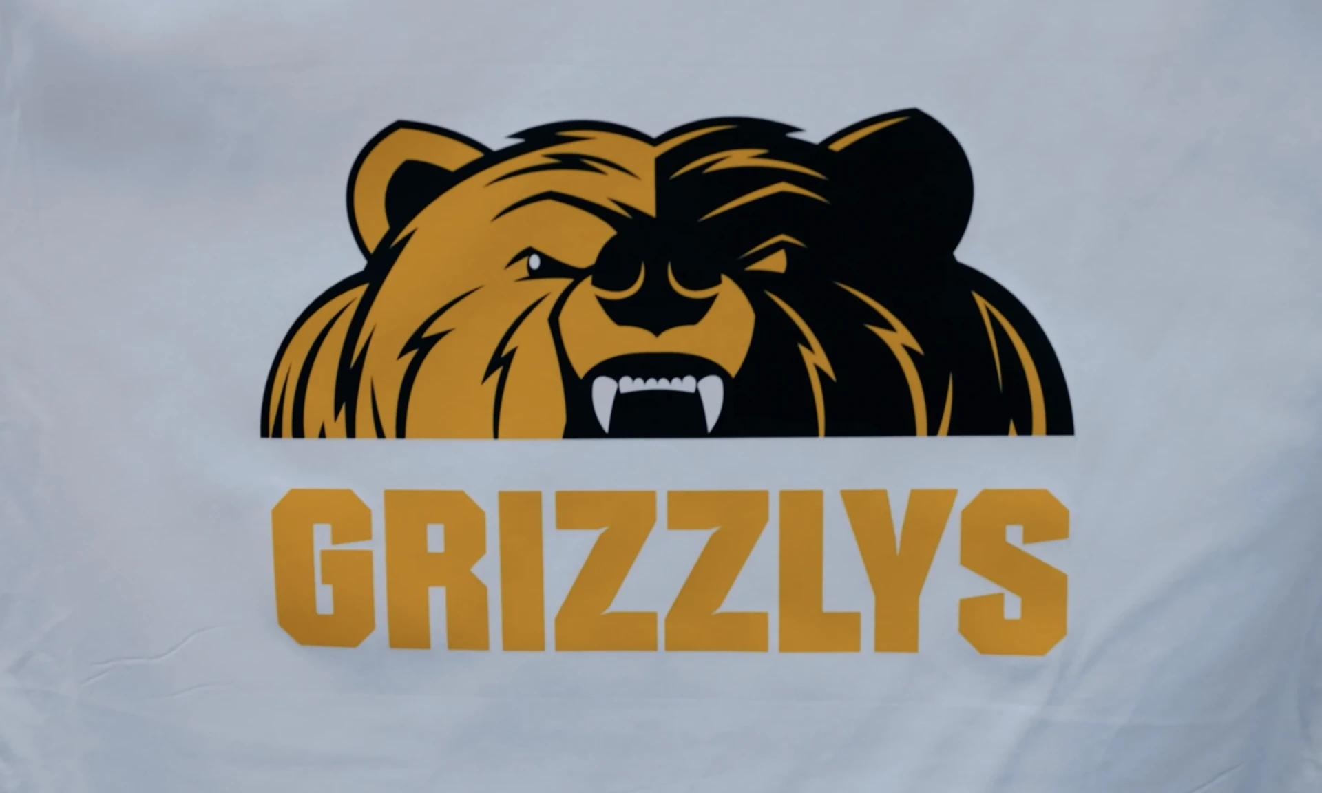 Grizzlys-Motiv auf einem Textil